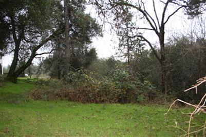 2562 Golden Eagle Dr, Placerville, CA 95667 photo 1