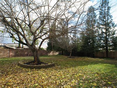 1202 School St, Folsom, CA 95630 photo 13