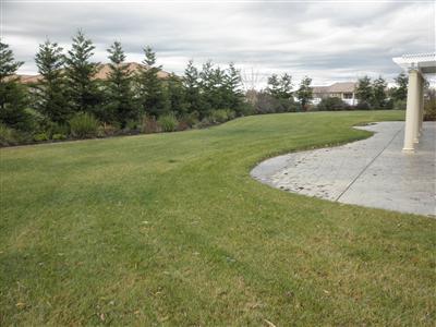 9500 Stablegate Rd, Wilton, CA 95693 photo 15