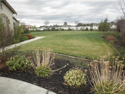 9500 Stablegate Rd, Wilton, CA 95693 photo 12