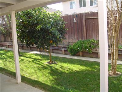 531 Roadrunner Dr, Patterson, CA 95363 photo 17