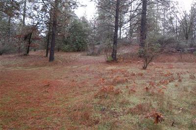 5760 Bucks Bar Rd, Placerville, CA 95667 photo 5