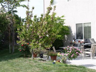 2247 Katherine Pl, Manteca, CA 95337 photo 14