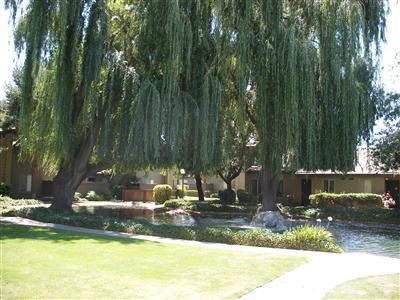 1313 Floyd Ave #147, Modesto, CA 95355 photo 11