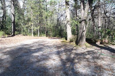 5100 Wintergarden Rd, Placerville, CA 95667 photo 14