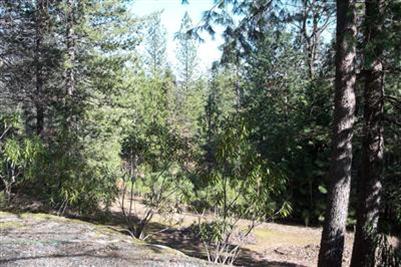 5100 Wintergarden Rd, Placerville, CA 95667 photo 15
