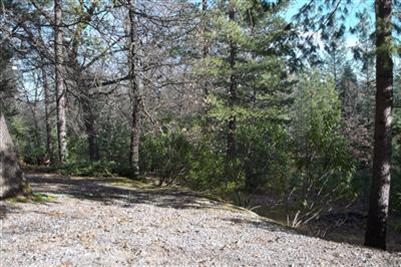 5100 Wintergarden Rd, Placerville, CA 95667 photo 13