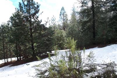5100 Wintergarden Rd, Placerville, CA 95667 photo 16