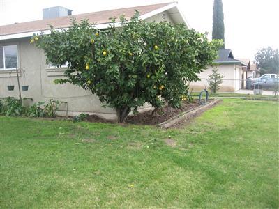 4504 Maud Ave, Keyes, CA 95328 photo 2