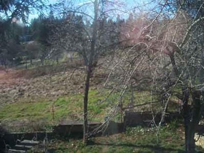 352 Alta St, Grass Valley, CA 95945 photo 8
