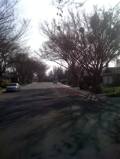 3617 Dix Ln, Modesto, CA 95356 photo 3