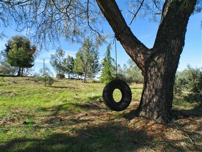 1871 Carl Rd, Rescue, CA 95672 photo 14