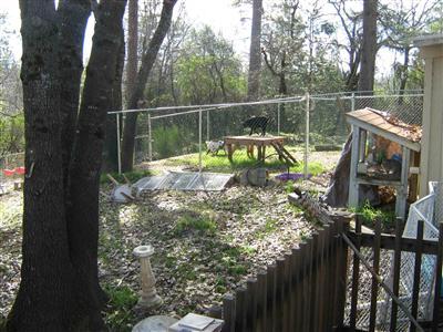 1804 Quarry Rd, Placerville, CA 95667 photo 4