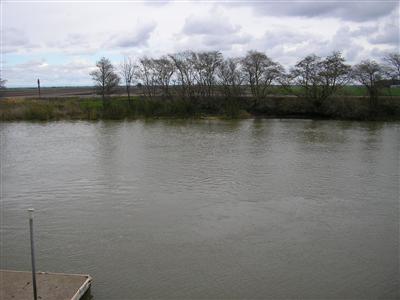 133 Oxbow Marina Dr, Isleton, CA 95641 photo 3