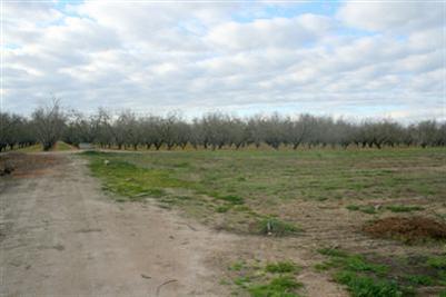 5618 Bacon Rd, Modesto, CA 95358 photo 4