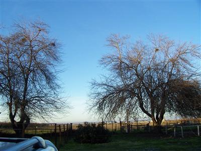 3113 W Taylor Rd, Turlock, CA 95382 photo 5