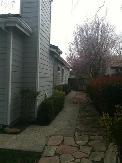 5301 Marden Dr, Davis, CA 95618 photo 4