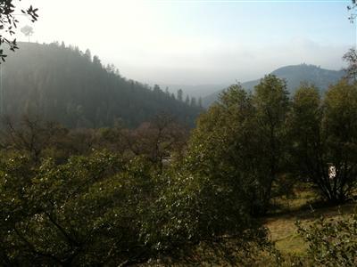1320 Barrister Ct, Placerville, CA 95667 photo 3