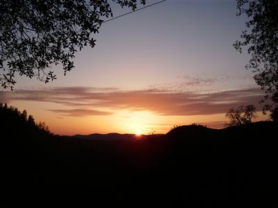 1320 Barrister Ct, Placerville, CA 95667 photo 8