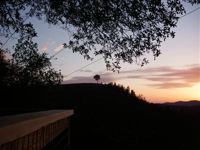 1320 Barrister Ct, Placerville, CA 95667 photo 9