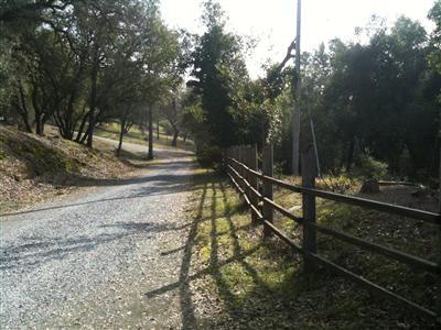 1320 Barrister Ct, Placerville, CA 95667 photo 5