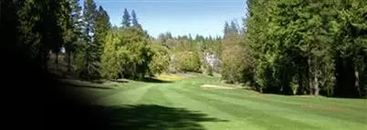 960 Fairway Ct, Murphys, CA 95247 photo 2