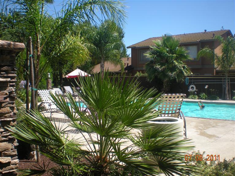 4024 Elmo Loop #d, Modesto, CA 95356 photo 2