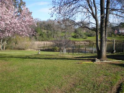 9690 King Rd, Loomis, CA 95650 photo 22