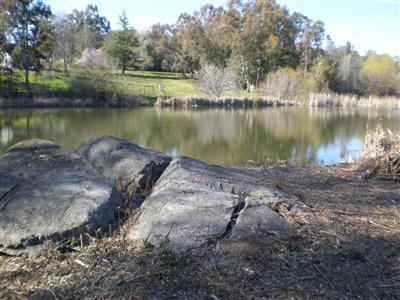 9690 King Rd, Loomis, CA 95650 photo 14