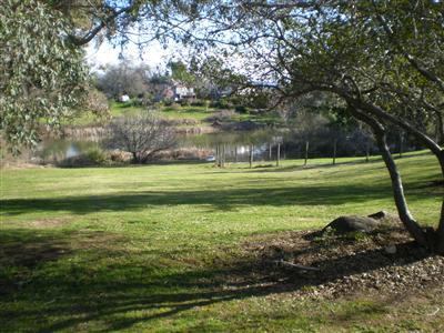 9690 King Rd, Loomis, CA 95650 photo 21