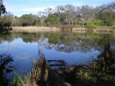 9690 King Rd, Loomis, CA 95650 photo 13