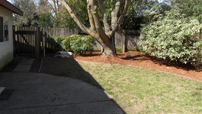 3327 Victoria Pl, Davis, CA 95616 photo 8