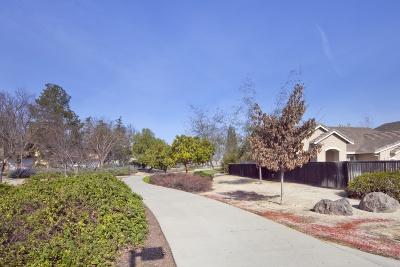 1801 Botticelli Pl, Davis, CA 95618 photo 12