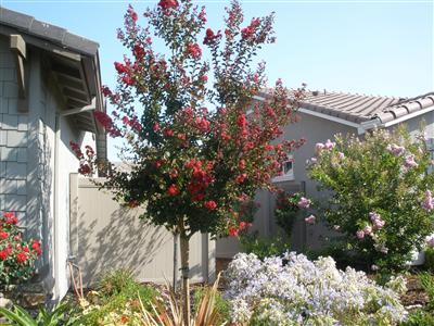 2235 Bellchase Dr, Manteca, CA 95336 photo 4