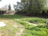 1344 Basil Ct, Newman, CA 95360 photo 8