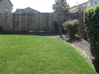 185 Fall Ave, Patterson, CA 95363 photo 12