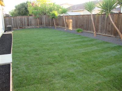 4645 Dandelion Loop, Tracy, CA 95377 photo 15