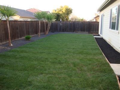 4645 Dandelion Loop, Tracy, CA 95377 photo 14
