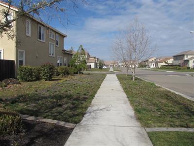 606 W Boesch Dr, Ripon, CA 95366 photo 18
