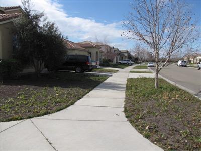 606 W Boesch Dr, Ripon, CA 95366 photo 19