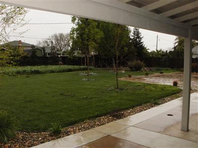 720 N 3rd St, Patterson, CA 95363 photo 3