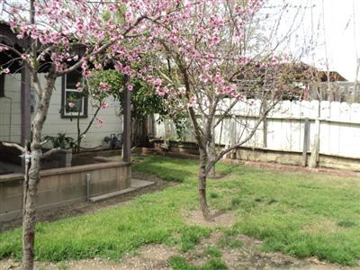 345 Leon Ave, Modesto, CA 95351 photo 8