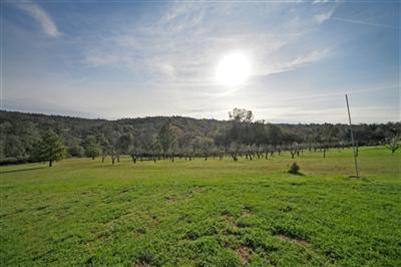 6421 Kumbya Rd, Placerville, CA 95667 photo 13