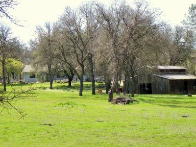 1336 Hidden Lake Dr, Placerville, CA 95667 photo 1