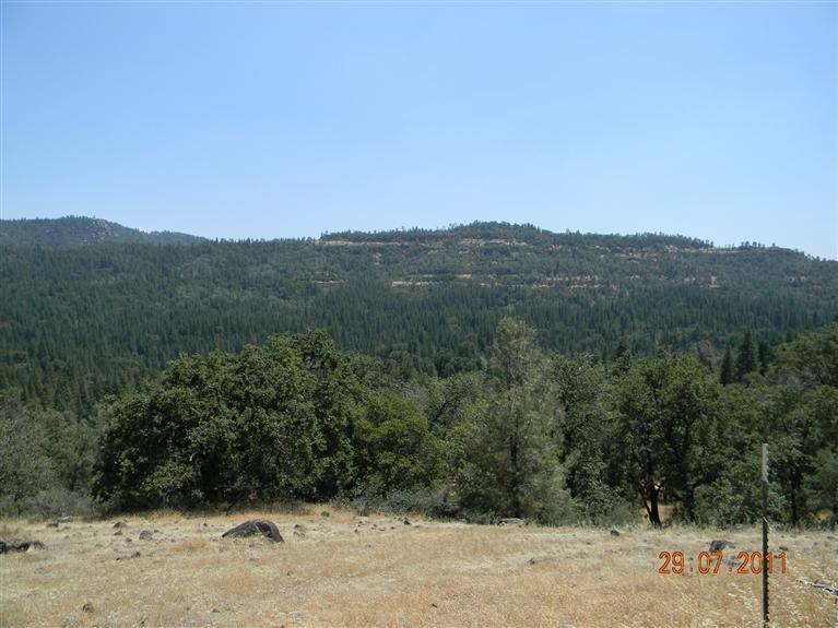 111 Sun Mountain Rd, Mi Wuk Village, CA 95346 photo 19