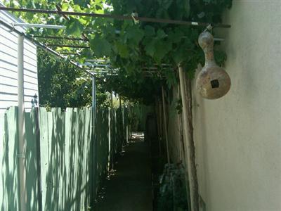 585 6th, Gustine, CA 95322 photo 12
