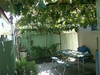 585 6th, Gustine, CA 95322 photo 11