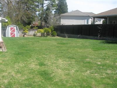 4206 Walnut Ave, Carmichael, CA 95608 photo 5