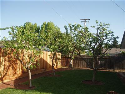 2408 Sharondell Dr, Modesto, CA 95350 photo 8