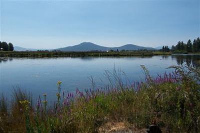 41416 Osprey Rd, Fall River Mills, CA 96028 photo 1